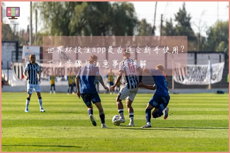 世界杯投注app是否适合新手使用?下注步骤与注意事项详解