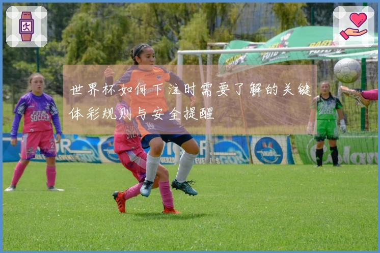 世界杯如何下注时需要了解的关键体彩规则与安全提醒