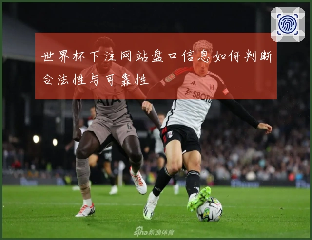 世界杯下注网站盘口信息如何判断合法性与可靠性