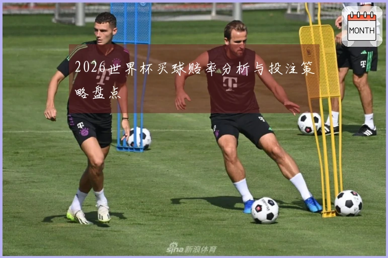 2026世界杯买球赔率分析与投注策略盘点
