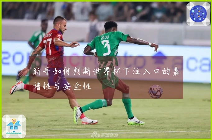 新手如何判断世界杯下注入口的靠谱性与安全性