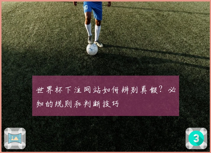 世界杯下注网站如何辨别真假？必知的规则和判断技巧
