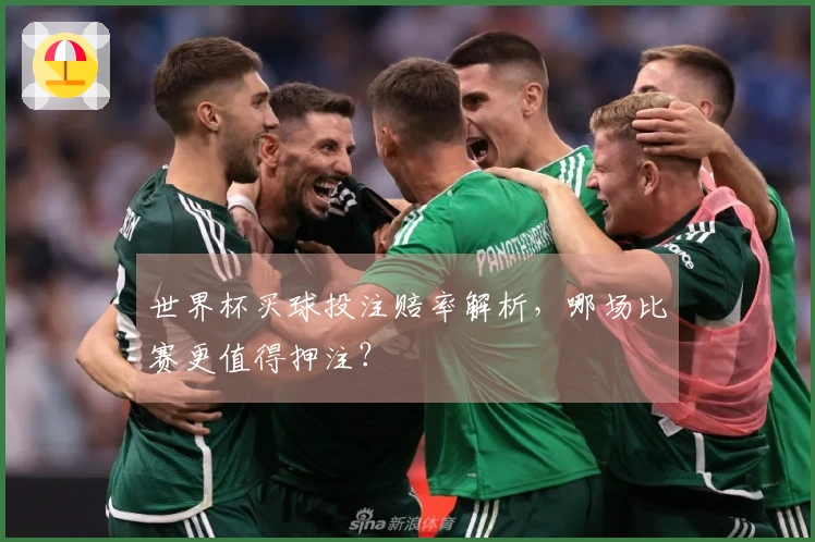 世界杯买球投注赔率解析，哪场比赛更值得押注？