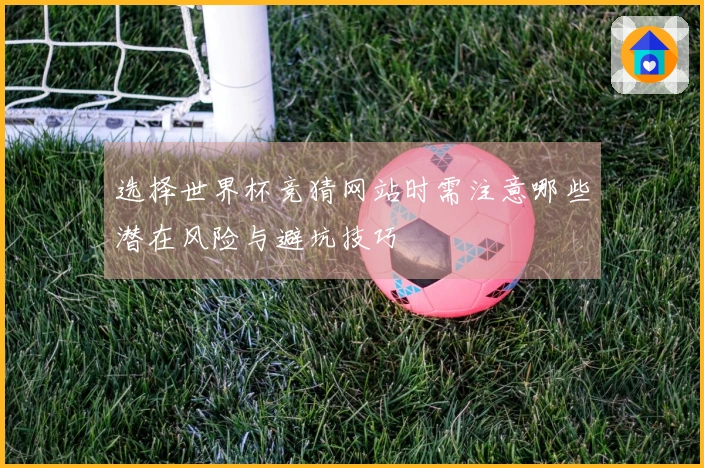 选择世界杯竞猜网站时需注意哪些潜在风险与避坑技巧
