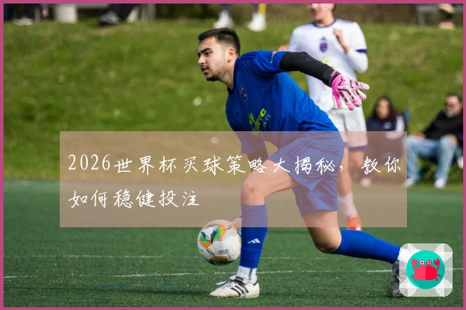 2026世界杯买球策略大揭秘，教你如何稳健投注