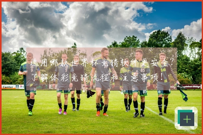 选用哪款世界杯竞猜软件更安全？了解体彩竞猜流程和注意事项！