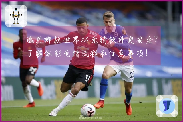 选用哪款世界杯竞猜软件更安全？了解体彩竞猜流程和注意事项！