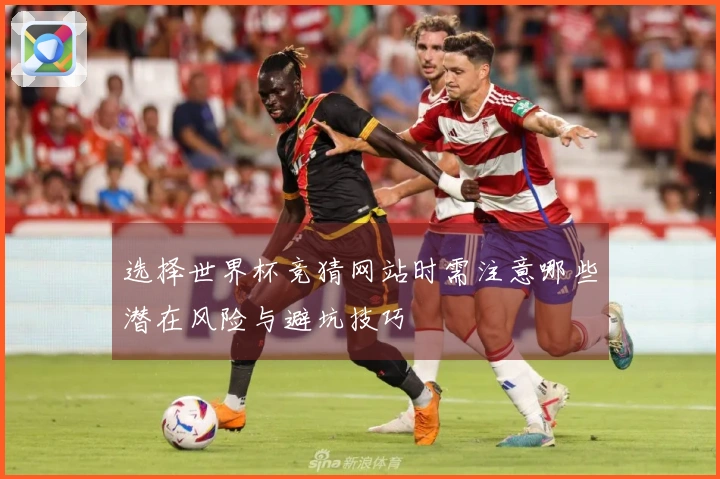 选择世界杯竞猜网站时需注意哪些潜在风险与避坑技巧
